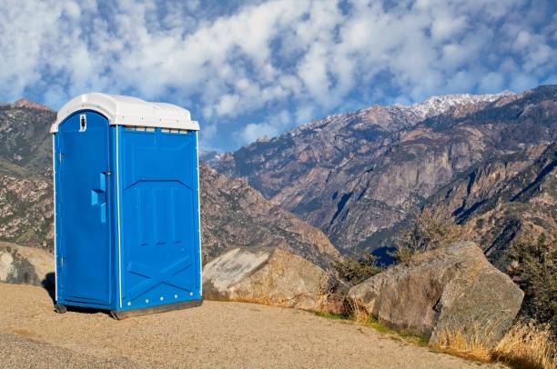 Best Affordable portable toilet rental  in Beaverton, MI